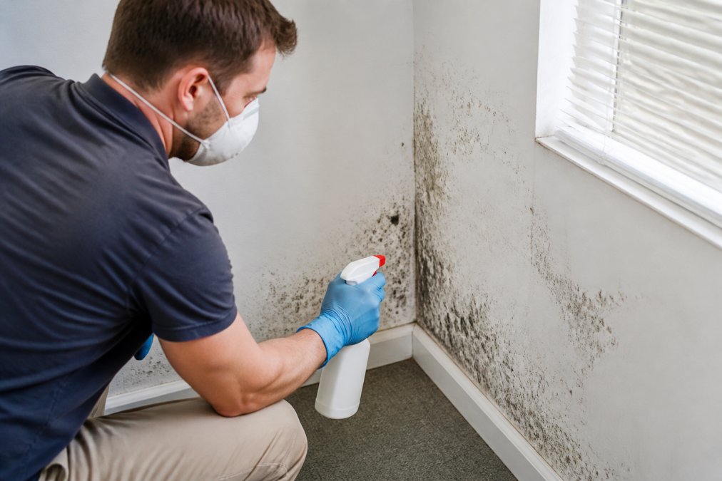 Preventing Mold Growth After Water Pipe Burst